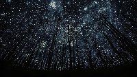 StarryStarryNight
