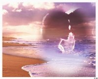 A_NewDay