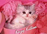 Kzy_Kitten