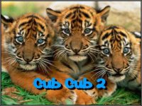 cub_cub2